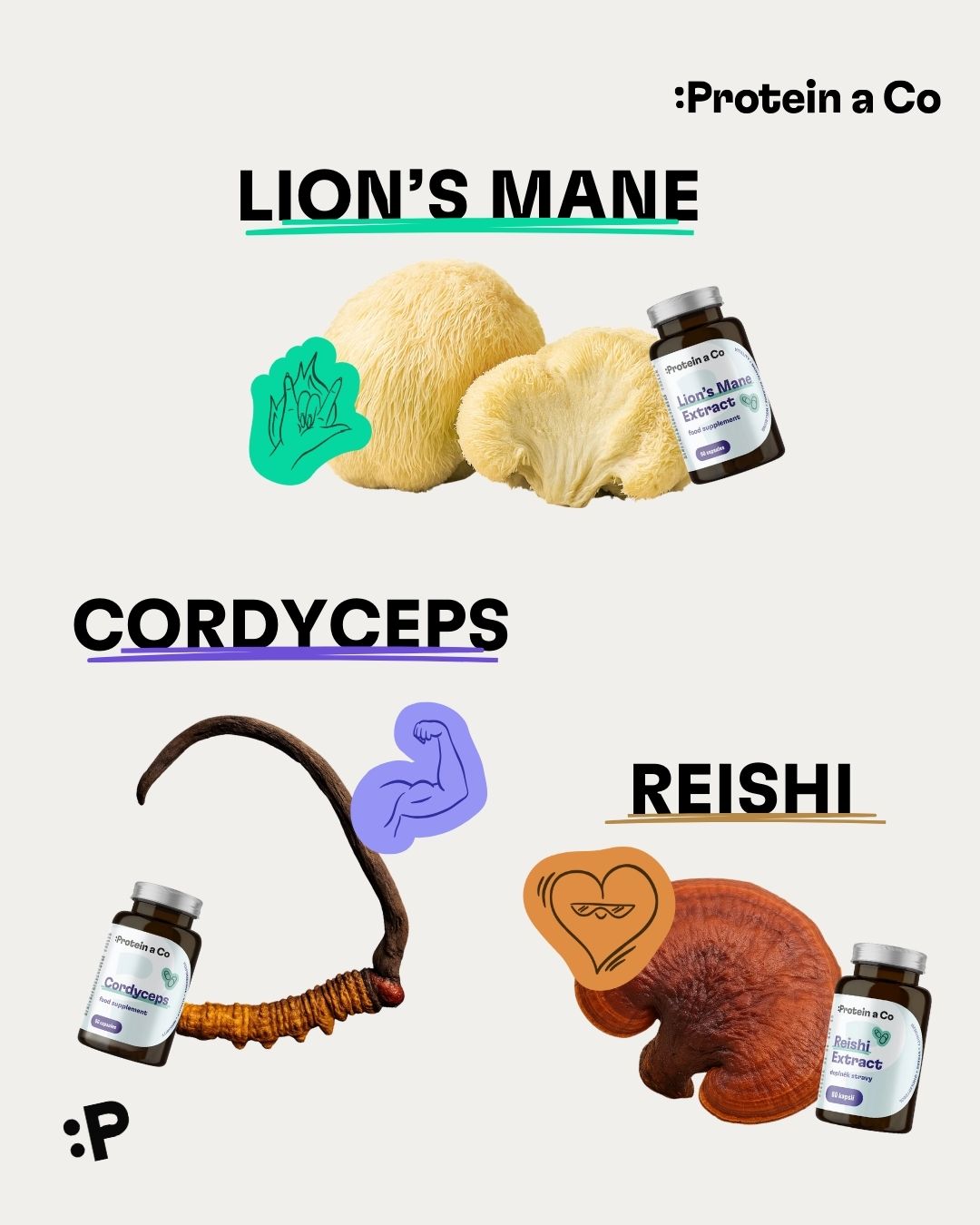 Neni-houba-jako-houba-1-clanek-vyziva-proteinaco